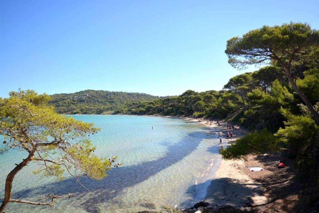 Studio Hyeres Port Et Iles D'Or. Εξωτερικό φωτογραφία